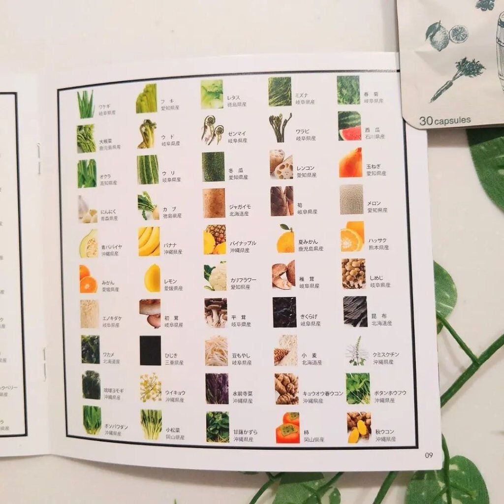 nagomi KOUSO 30粒/renaTerra/健康サプリメントを使ったクチコミ(5枚目)