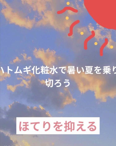 ハトムギ化粧水(ナチュリエ スキンコンディショナー R )/ナチュリエ/化粧水を使ったクチコミ（1枚目）