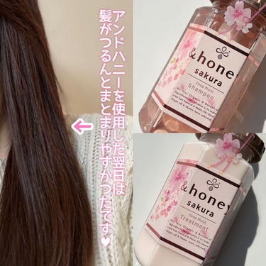 サクラ ディープモイスト シャンプー1.0/ヘアトリートメント2.0/&honey/シャンプー・コンディショナーを使ったクチコミ（6枚目）