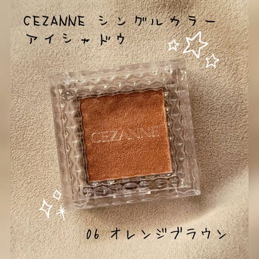 

◾CEZANNE シングルカラーアイシャドウ
      06オレンジブラウン


こんにちは!
今回はCEZANNEから出ているシングルカラーアイシャドウのレビューをします!!
と言いましても、使