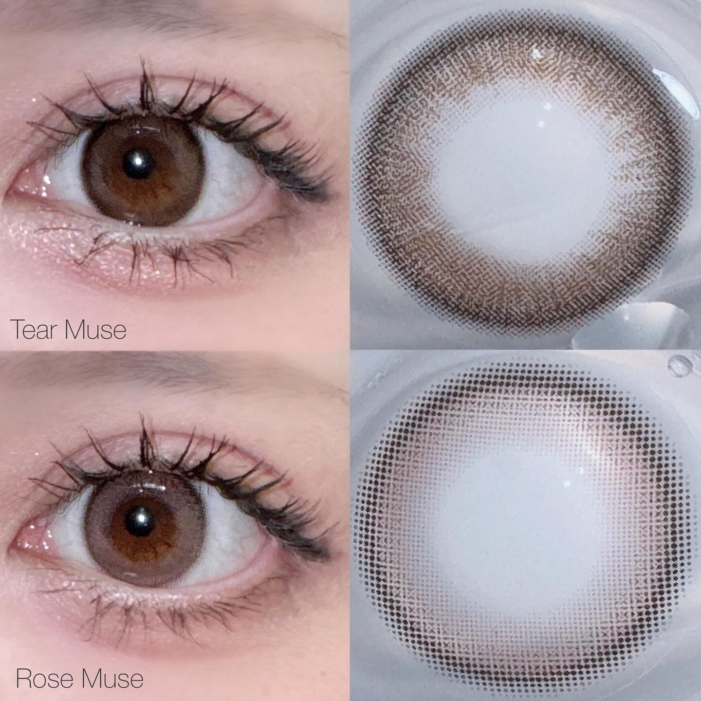 エバーカラーワンデーナチュラル モイストレーベルUV/エバーカラー/ワンデー（１DAY）カラコンを使ったクチコミ（2枚目）