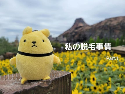 を使ったクチコミ(1枚目)