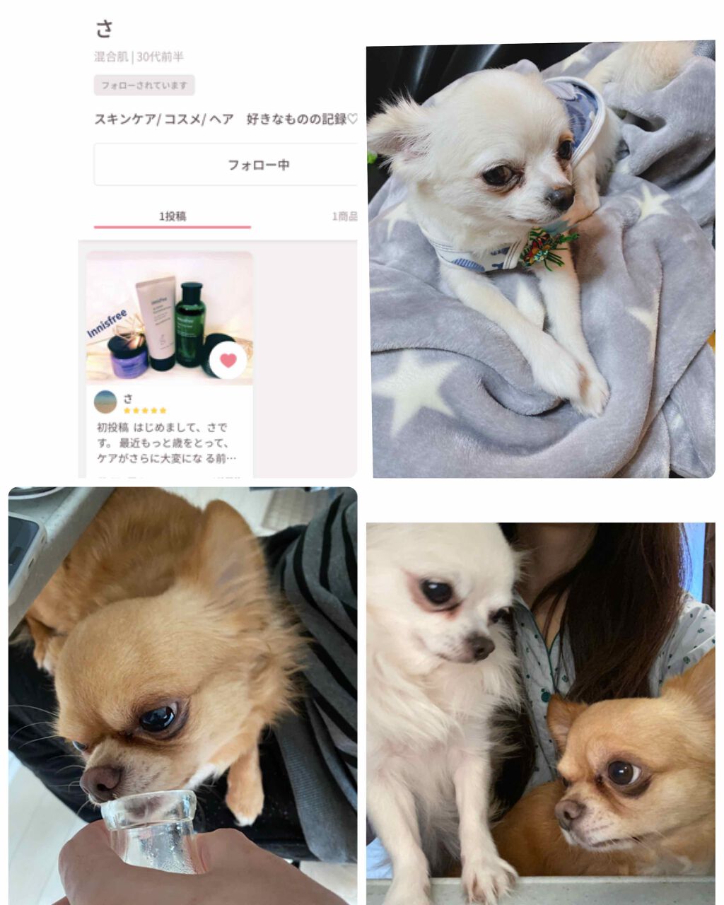 【旧品】パーフェクトスタイリストアイズ/キャンメイク/アイシャドウパレットを使ったクチコミ(3枚目)