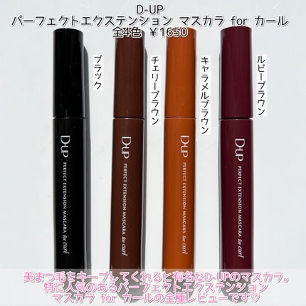 パーフェクトエクステンション マスカラ for カール/D-UP/マスカラを使ったクチコミ(2枚目)
