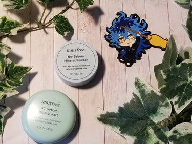 ノーセバム　ミネラルパウダー　N/innisfree/ルースパウダーを使ったクチコミ（1枚目）