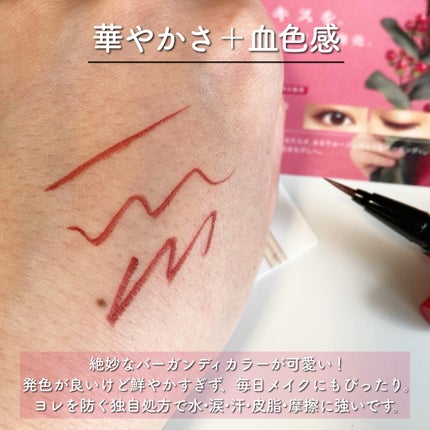 スキルレスライナー/LUMIURGLAS/リキッドアイライナーを使ったクチコミ(2枚目)