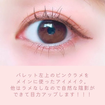 アディクション ザ アイシャドウ パレット/ADDICTION/アイシャドウパレットを使ったクチコミ(5枚目)