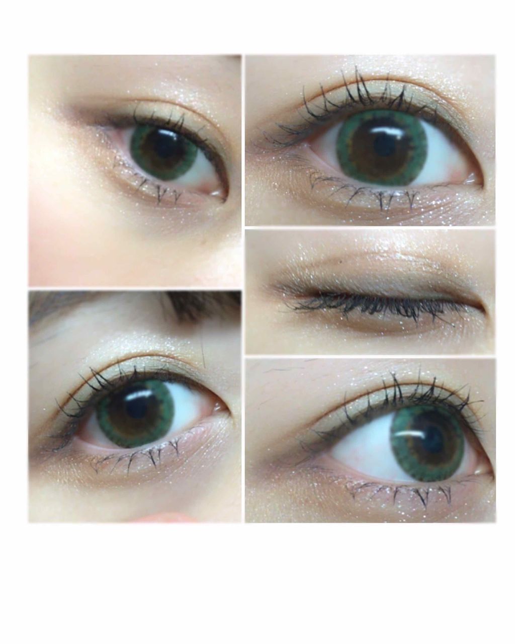 アクセントカラーアイズ CC/インテグレート/アイシャドウパレットを使ったクチコミ（1枚目）