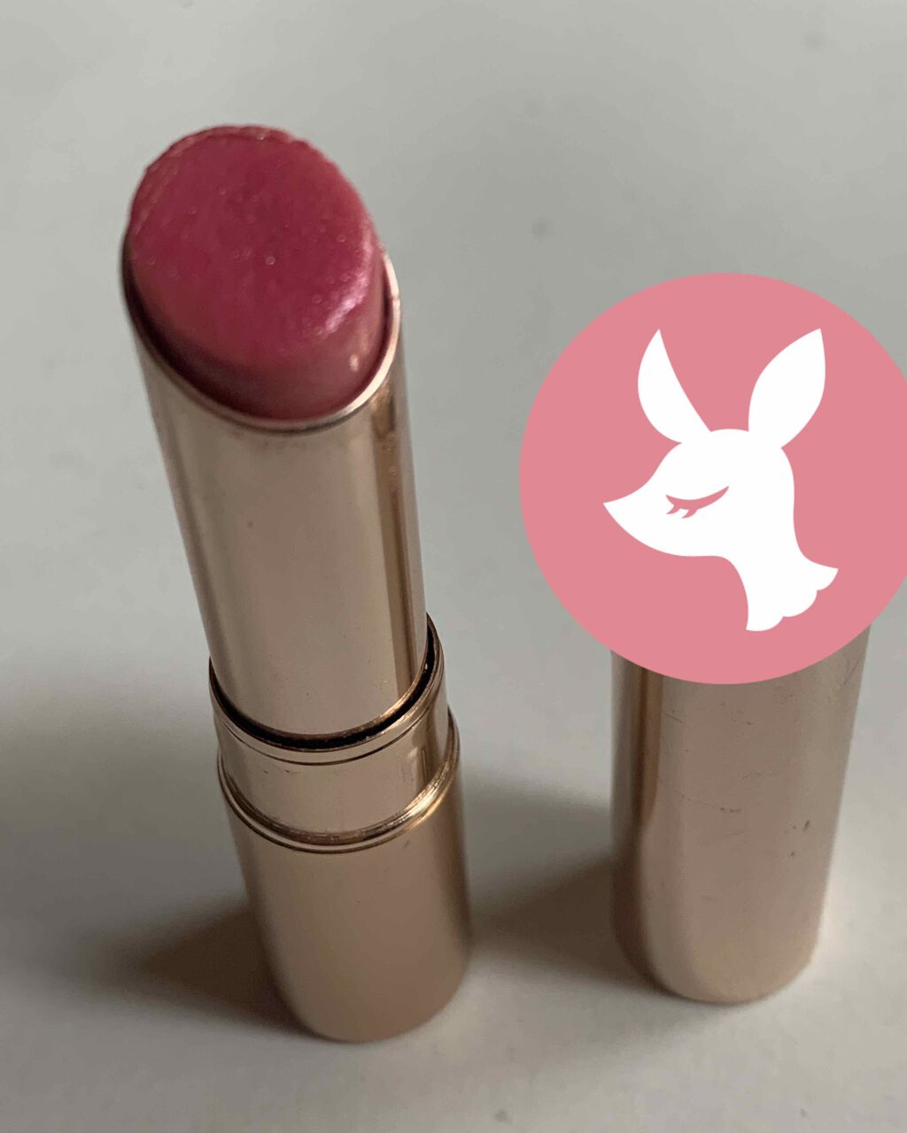 オペラ リップティント N/OPERA/リップティントを使ったクチコミ（1枚目）