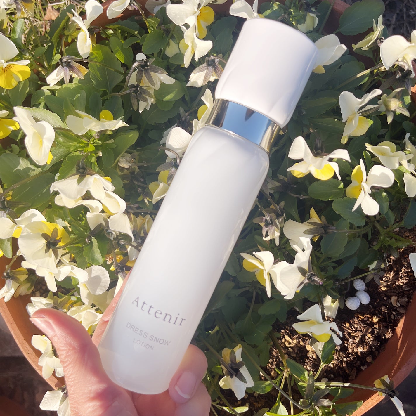 ドレススノー ローション【医薬部外品】 /アテニア/化粧水を使ったクチコミ(1枚目)