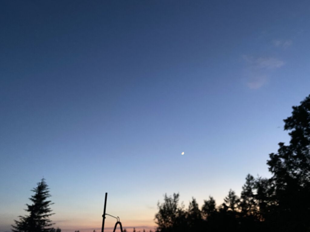 おうちdeエステ 肌をなめらかにする マッサージ洗顔ジェル/ビオレ/その他洗顔料を使ったクチコミ（1枚目）