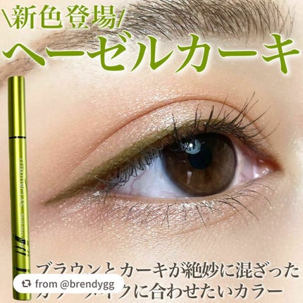 スキルレスライナー/LUMIURGLAS/リキッドアイライナーを使ったクチコミ(1枚目)