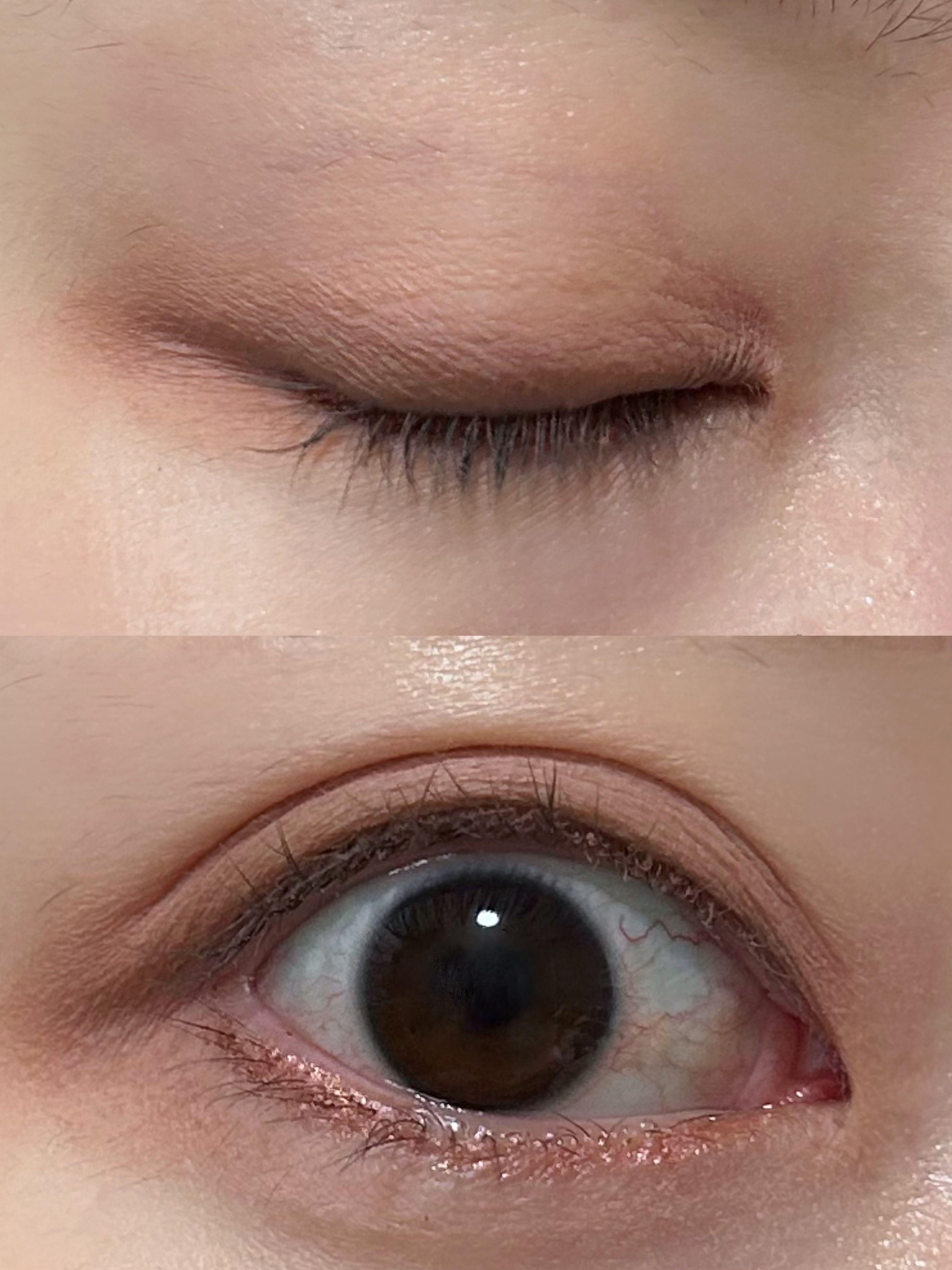 ペリペラ インク ポケット シャドウ パレット 04 ミュートを分かった感じ(YOU KNOW WHAT MUTE IS)/PERIPERA/アイシャドウパレットを使ったクチコミ（3枚目）