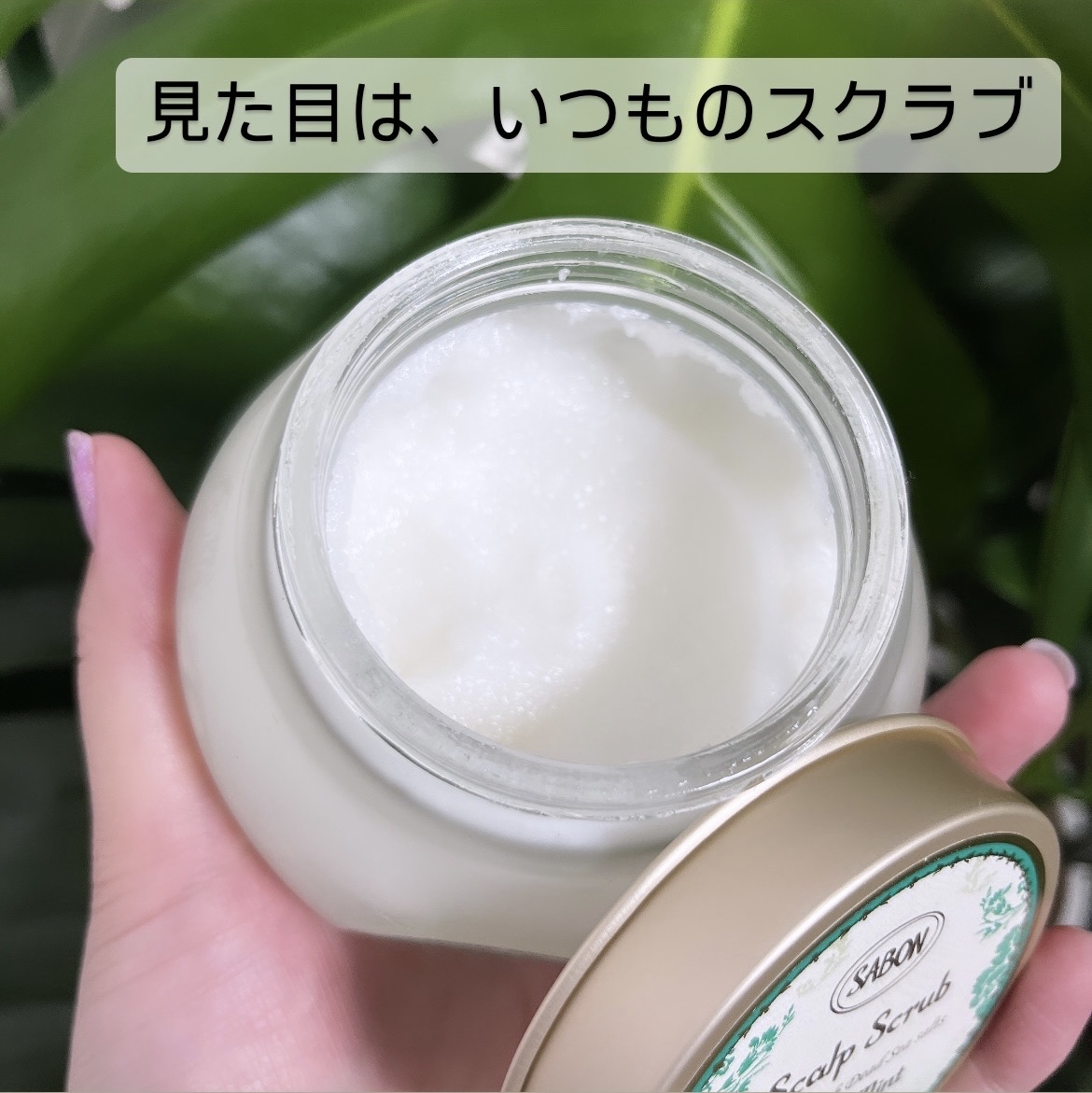 ヘッドスクラブ リフレッシング(ミント) 300g/SABON/ヘッドスクラブを使ったクチコミ（2枚目）