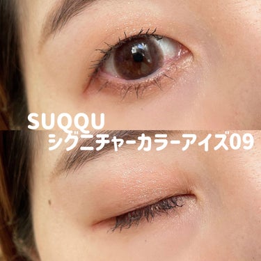 SUQQU シグニチャー カラー アイズのクチコミ「【比較】似てる!?  SUQQU × ADDICTION


使ってる時にあれ、カラー似てない.....」（3枚目）