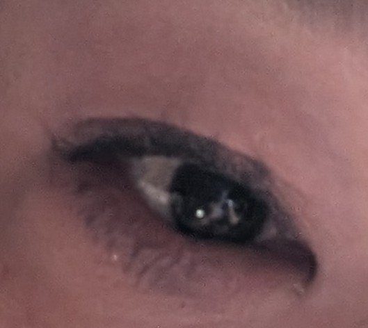 ラスティングリキッドライナー/キャンメイク/リキッドアイライナーを使ったクチコミ（2枚目）