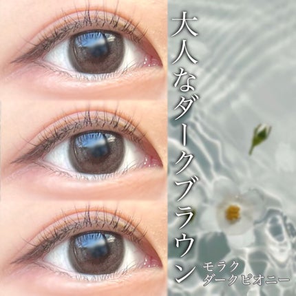 MOLAK 1month/MOLAK/1ヶ月(1MONTH)カラコンを使ったクチコミ(1枚目)