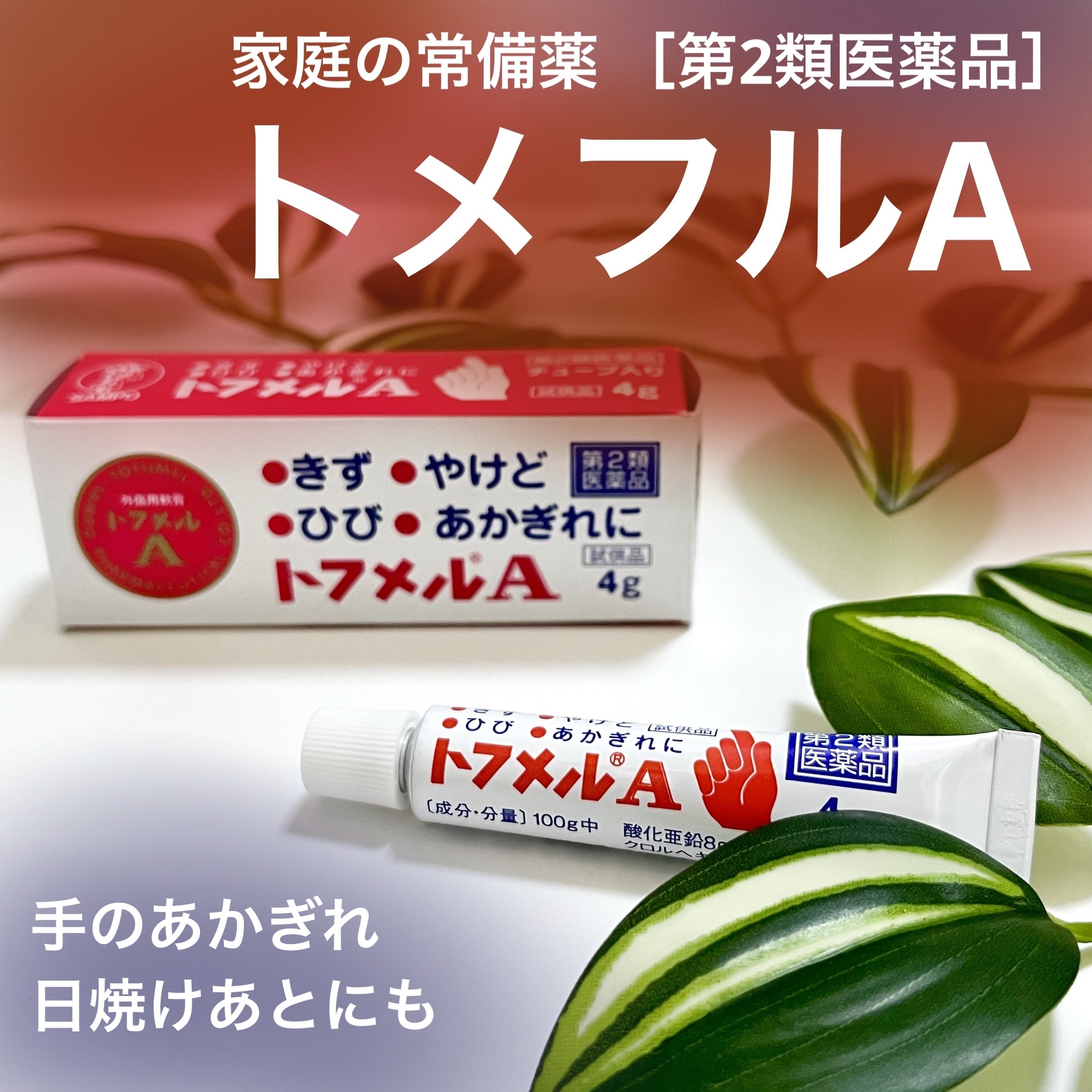 トフメルA（医薬品）/三宝製薬/その他を使ったクチコミ（1枚目）