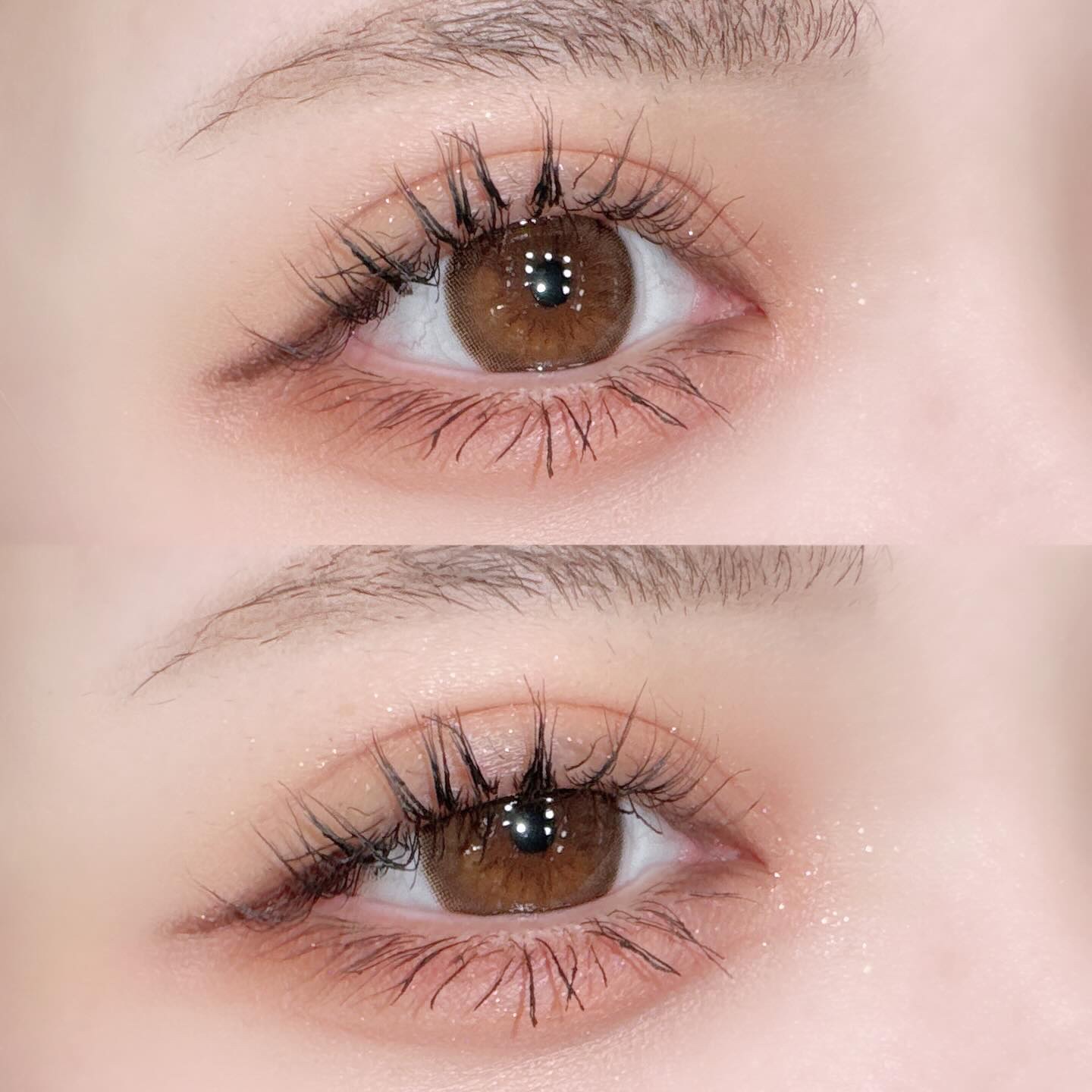 シャドウパレット/dasique/アイシャドウパレットを使ったクチコミ（1枚目）