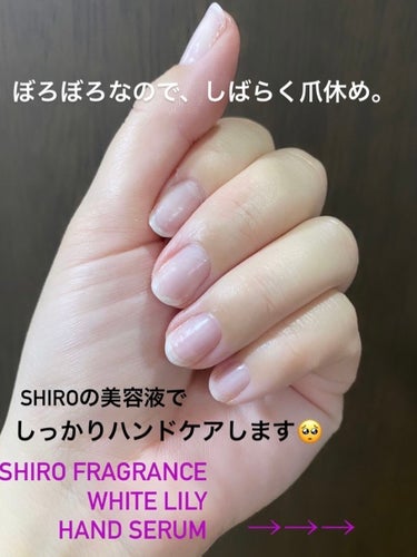 ホワイトリリー ハンド美容液/SHIRO/ハンドクリームを使ったクチコミ（1枚目）