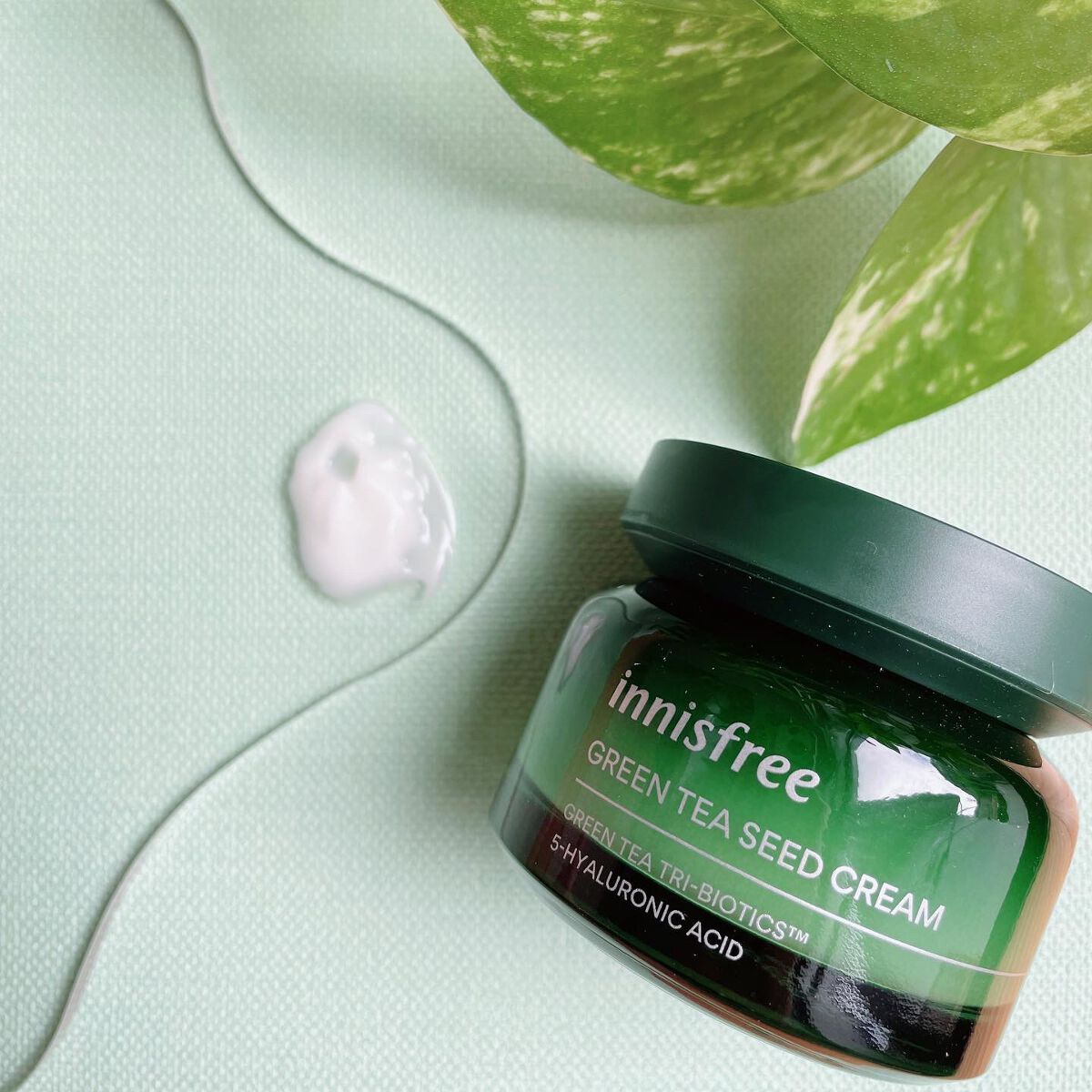 グリーンティーシード クリーム 50ml/innisfree/フェイスクリームを使ったクチコミ（2枚目）