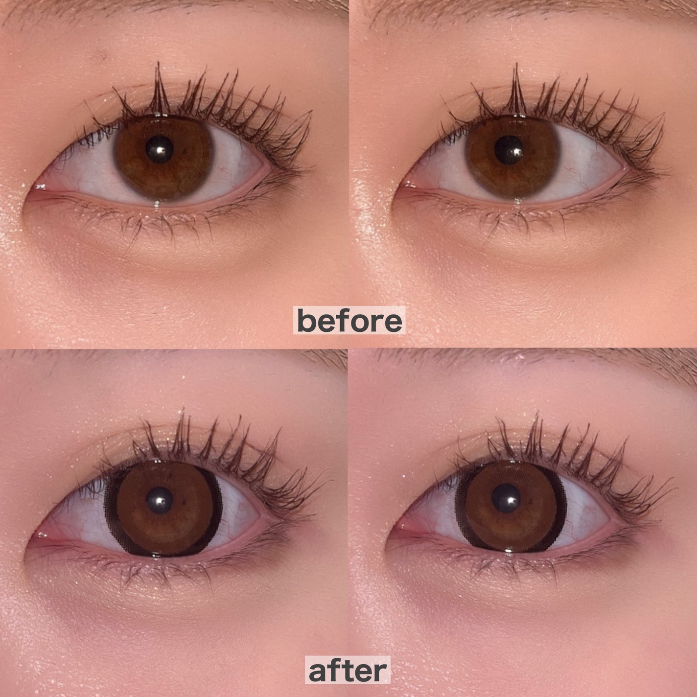 eye closet 1day View Rosetta/EYE CLOSET/ワンデー(1DAY)カラコンを使ったクチコミ(2枚目)