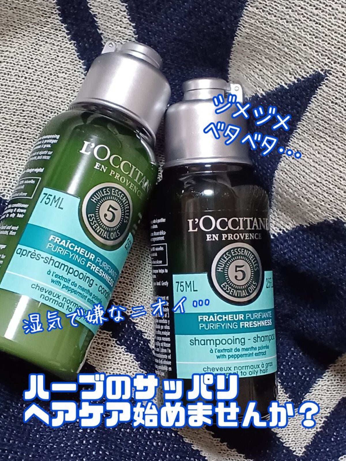 ファイブハーブス ピュアフレッシュネス シャンプー/コンディショナー/L'OCCITANE/市販シャンプーを使ったクチコミ(1枚目)