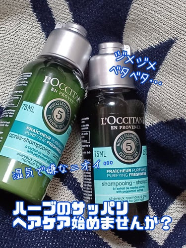 ファイブハーブス ピュアフレッシュネス シャンプー／コンディショナー コンディショナー75ml/L'OCCITANE/シャンプー・コンディショナーを使ったクチコミ（1枚目）