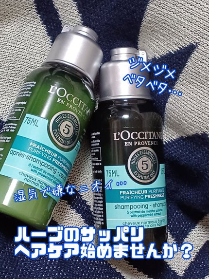 ファイブハーブス ピュアフレッシュネス シャンプー/コンディショナー/L'OCCITANE/市販シャンプーを使ったクチコミ(1枚目)