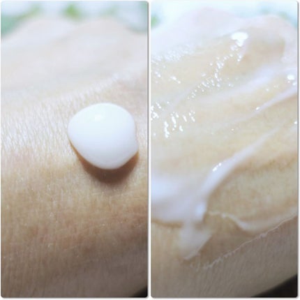 纏う蜂蜜No8 ハンドクリーム/Number8/ハンドクリームを使ったクチコミ(2枚目)