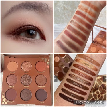 ワイルドチャイルド/ColourPop/アイシャドウパレットを使ったクチコミ（6枚目）