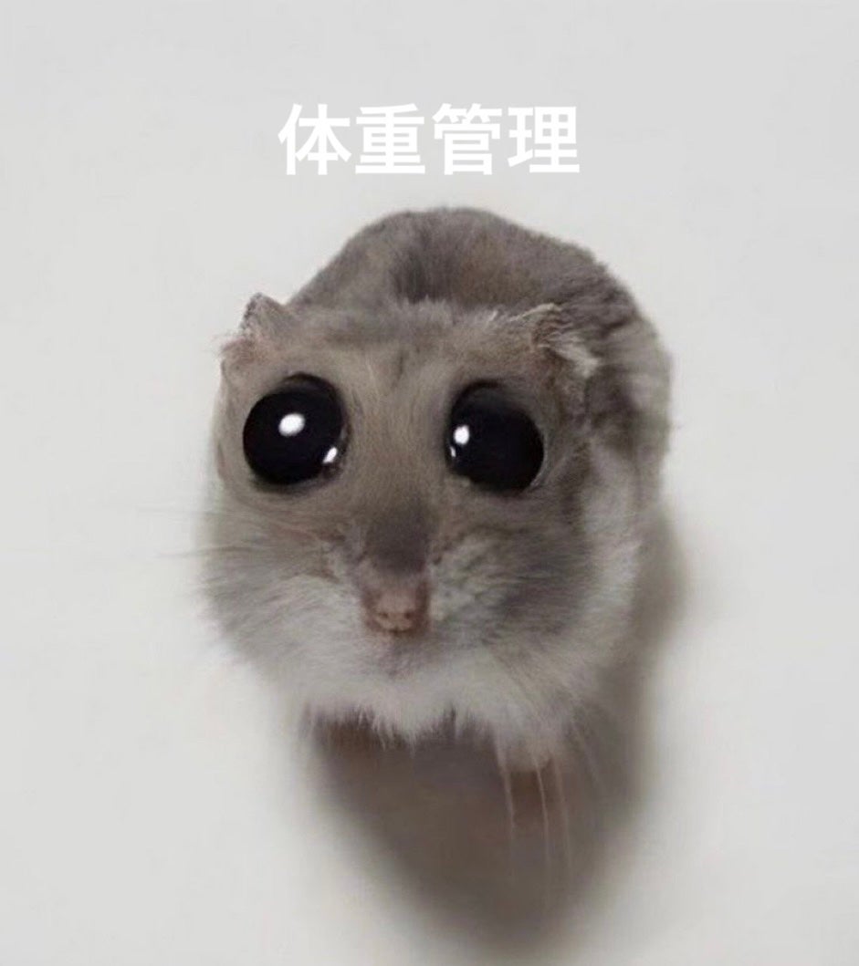 ホエイプロテイン100/ザバス/ホエイプロテインを使ったクチコミ(1枚目)