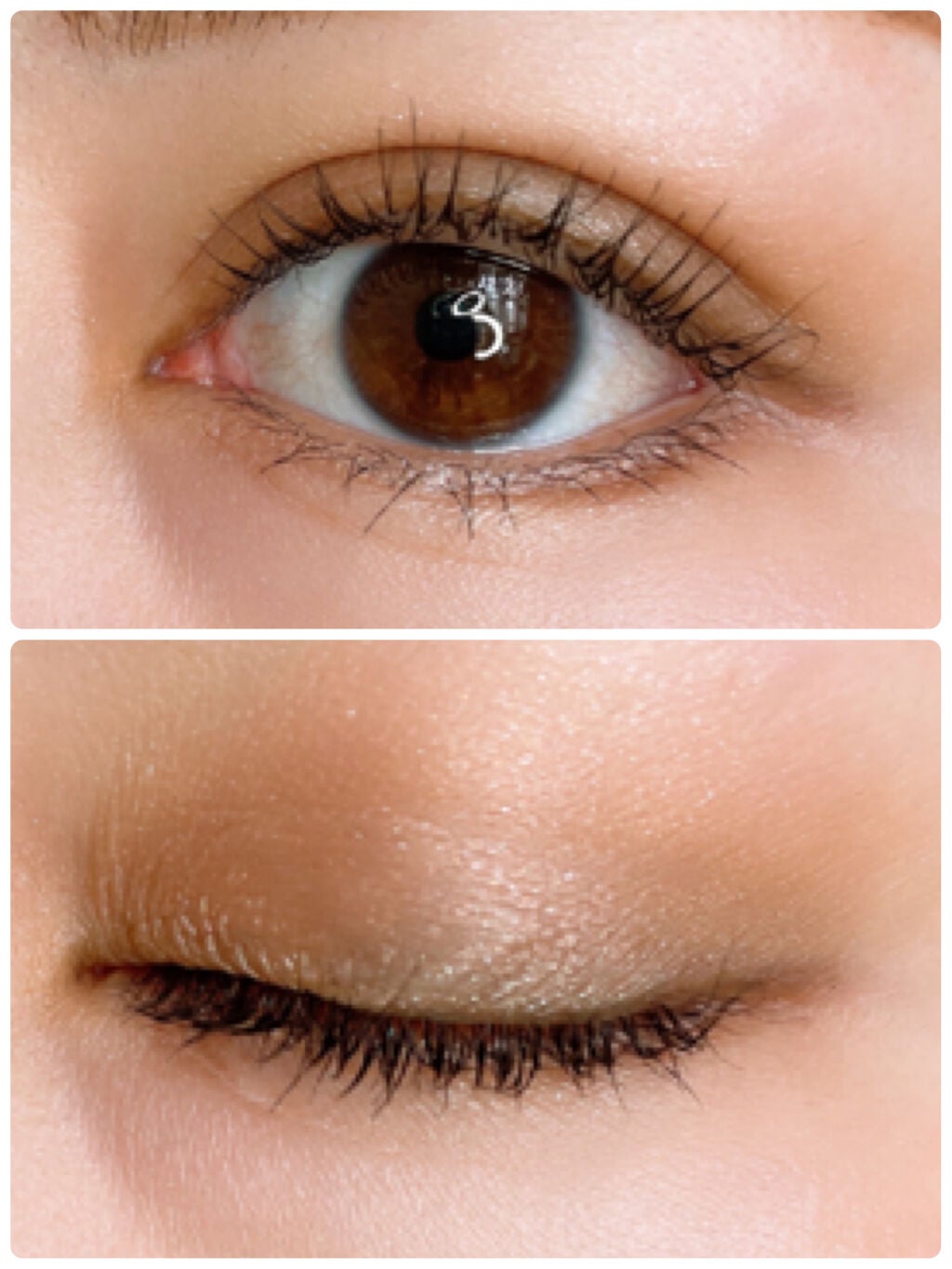 【旧】サンク クルール クチュール/Dior/アイシャドウパレットを使ったクチコミ(3枚目)