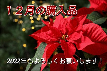 ドライシャンプー/ザ・プロダクト/ドライシャンプーを使ったクチコミ(1枚目)