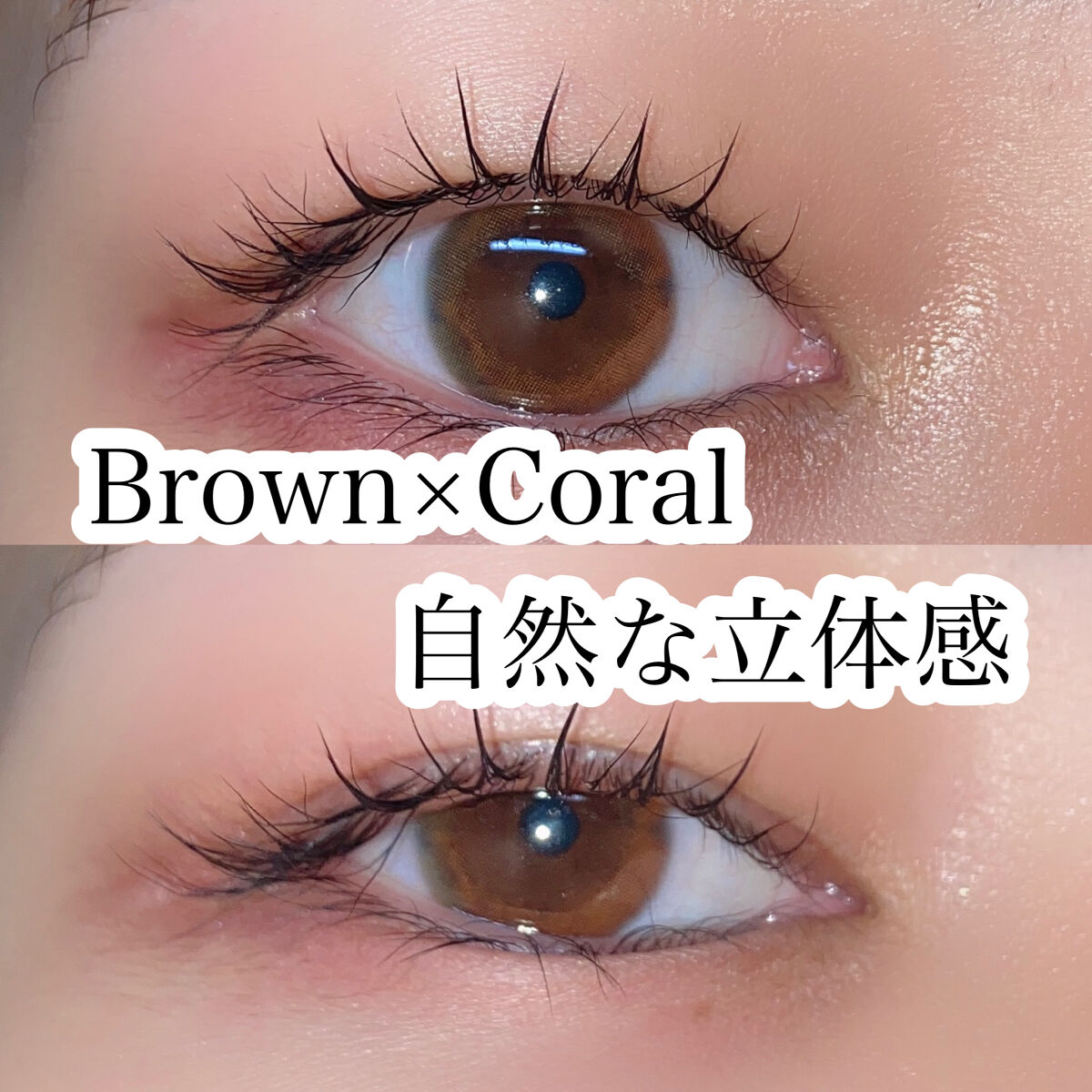 ワンデーリフレア　プリフューズ/Refrear/ワンデー（１DAY）カラコンを使ったクチコミ（1枚目）