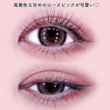 アニマルアイシャドウ(4シェード)/ZEESEA/アイシャドウパレットを使ったクチコミ(6枚目)