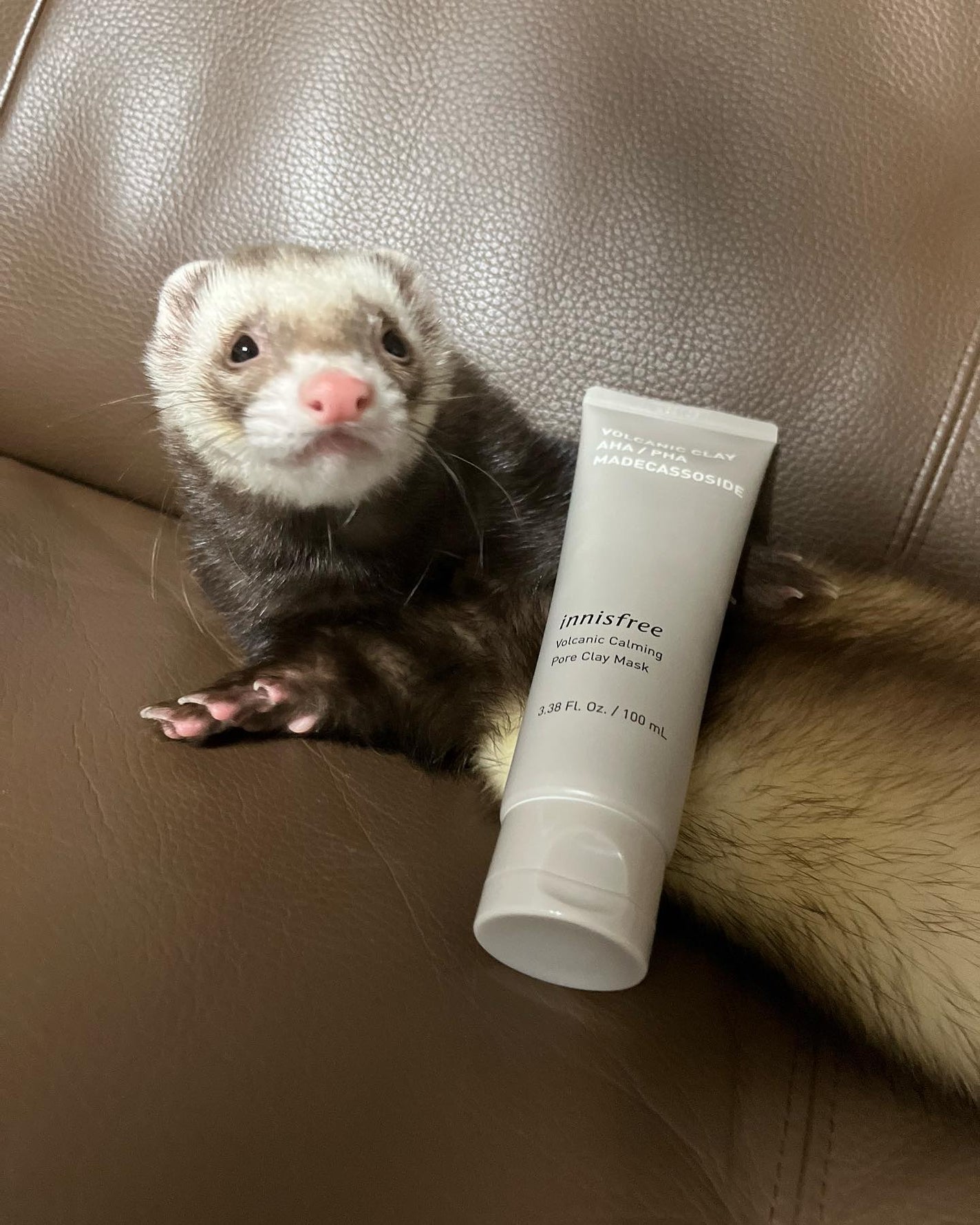 ヴォルカニック カーミング ポア クレイマスク/innisfree/洗い流すパック・マスクを使ったクチコミ(6枚目)