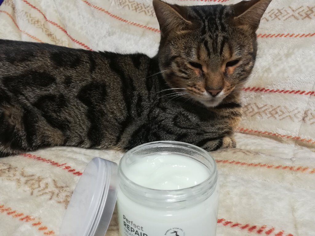 パーフェクト リペア ヘアトリートメントマスク/NatureLab. TOKYO/ヘアマスク・ヘアパックを使ったクチコミ（2枚目）