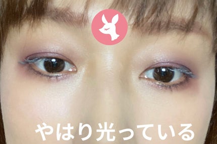 グリッターインパクトライナー/Visée/リキッドアイライナーを使ったクチコミ(2枚目)