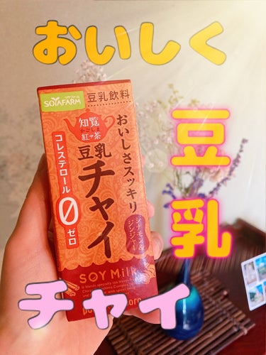Pokka Sapporo (ポッカサッポロ) 豆乳チャイのクチコミ「豆乳チャイって美味しくてリピートしちゃう😍

●ポッカサッポロ●
　おいしさスッキリ 豆乳チャ.....」（1枚目）