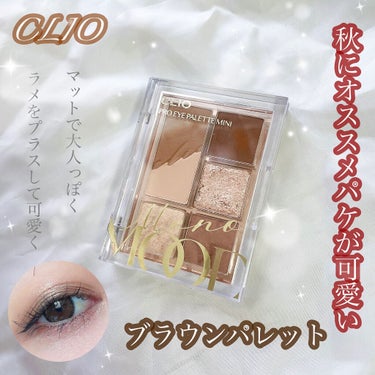 プロ アイパレット ミニ/CLIO/アイシャドウパレットを使ったクチコミ（1枚目）