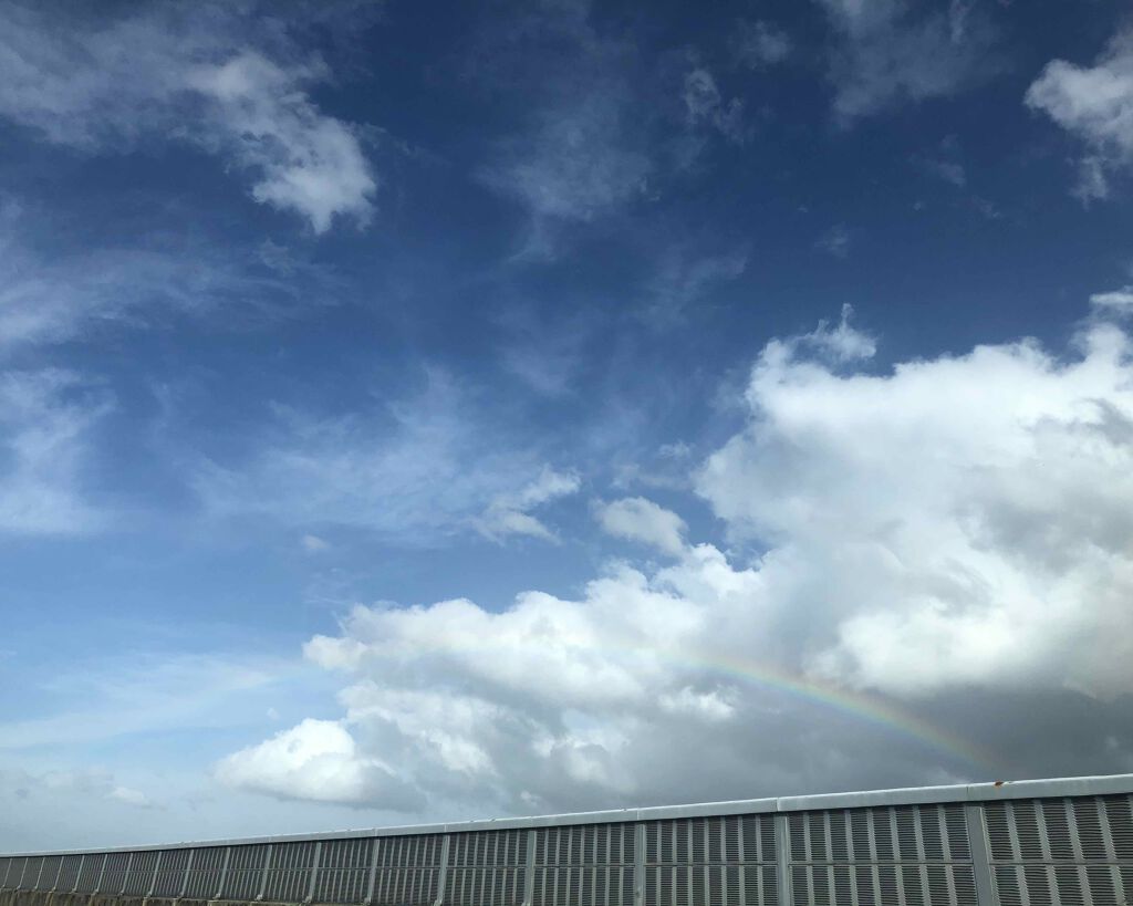 cocona on LIPS 「お久しぶりです。それなりに私生活が忙しいのと文章書くの苦手なの..」(1枚目)