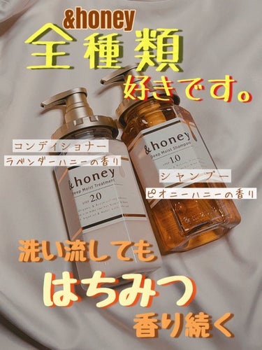 ディープモイスト シャンプー1.0／ヘアトリートメント2.0/&honey/シャンプー・コンディショナーを使ったクチコミ（1枚目）