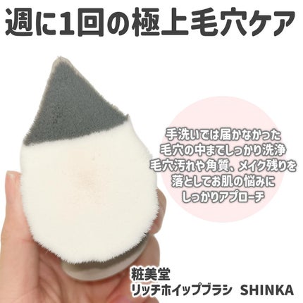 リッチホイップブラシSHINKA(シンカ)/SHOBIDO/その他スキンケアグッズを使ったクチコミ(2枚目)
