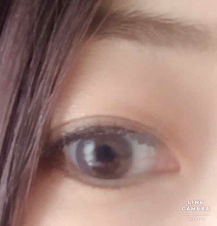 Angelcolor Bambi Series Vintage 1day/AngelColor/ワンデー(1DAY)カラコンを使ったクチコミ(2枚目)