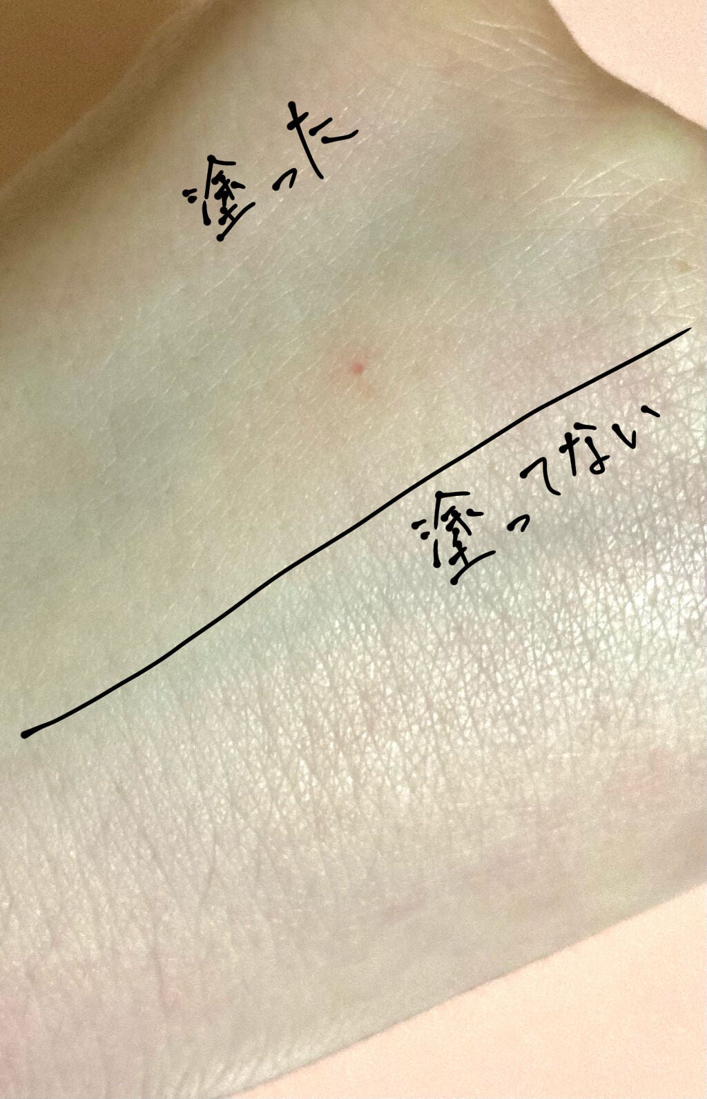 オイルコントロールパウダー<医薬部外品>/ファンケル/プレストパウダーを使ったクチコミ(3枚目)