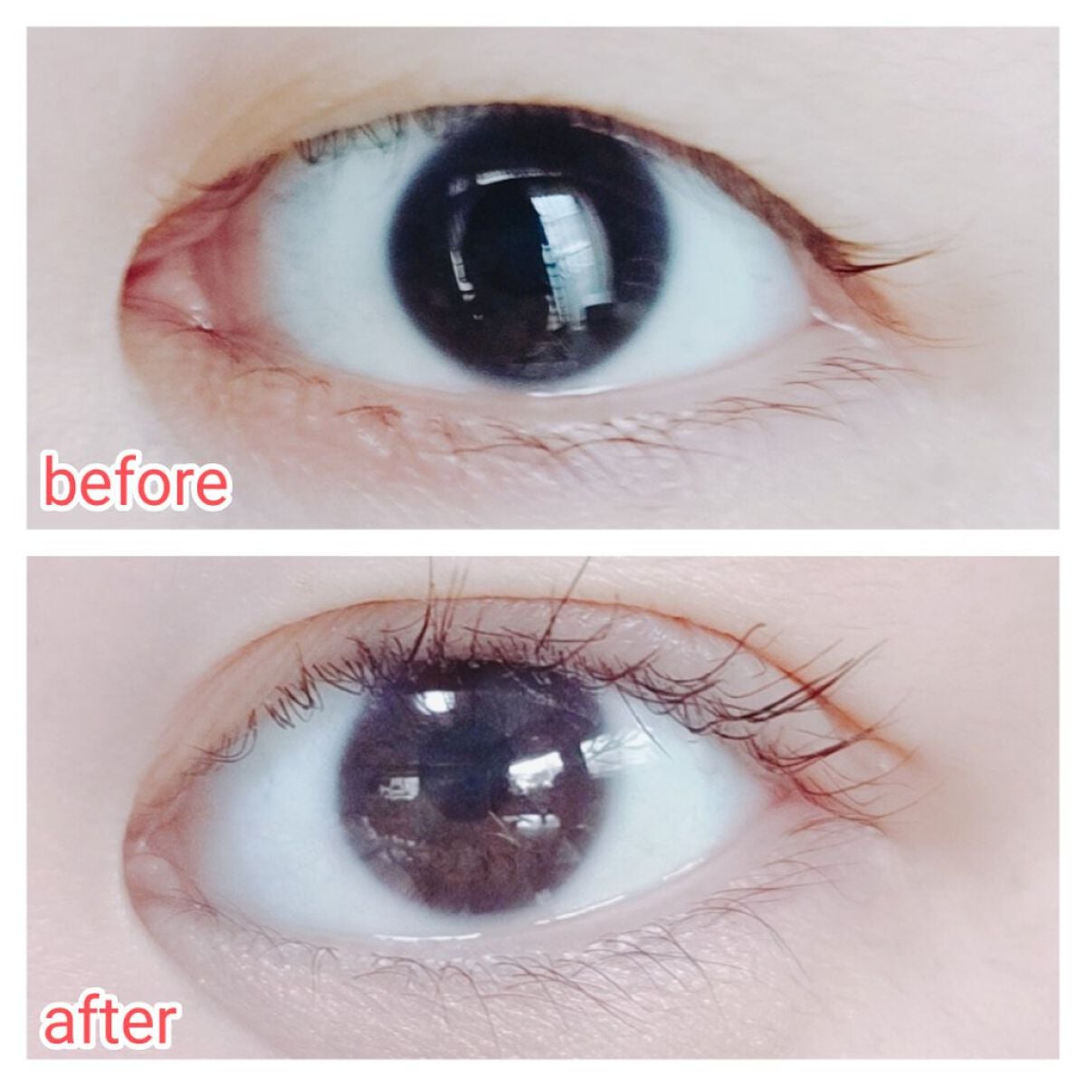 フリーファイバー120<下地&カッター付き>スタンダードタイプ 120本入/メザイク/二重まぶた用アイテムを使ったクチコミ(3枚目)