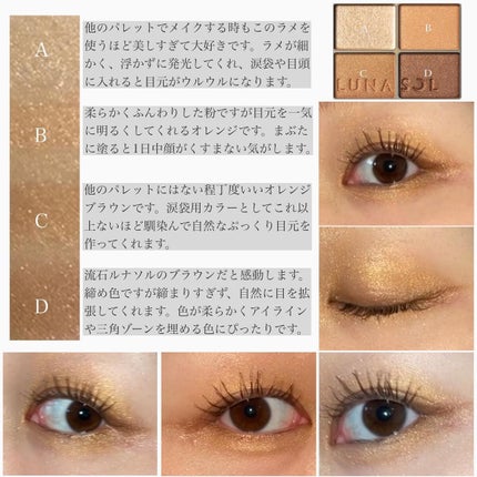 スキンモデリングアイズ/LUNASOL/アイシャドウパレットを使ったクチコミ(3枚目)