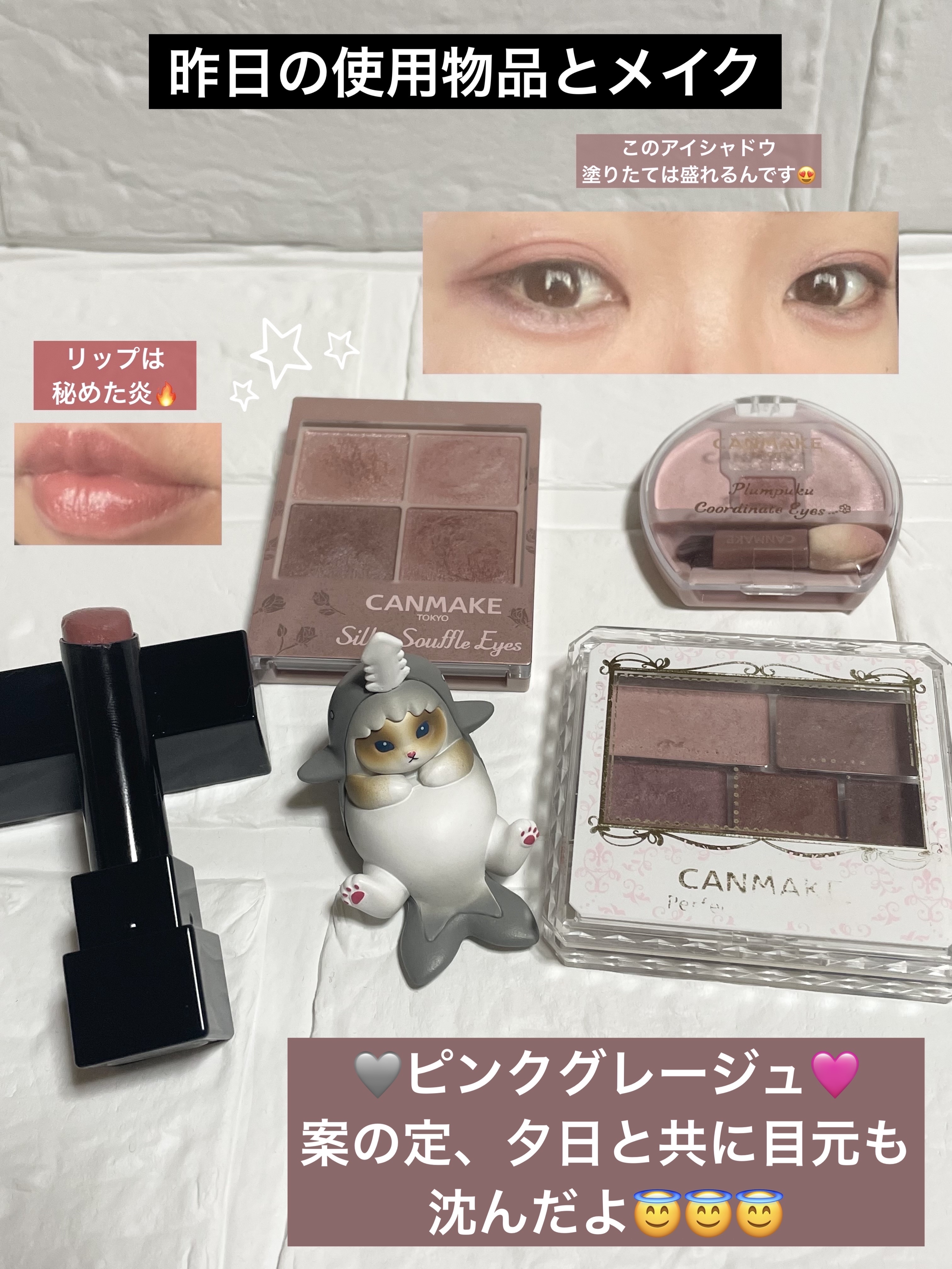 シルキースフレアイズ（マットタイプ）/キャンメイク/アイシャドウパレットを使ったクチコミ（1枚目）