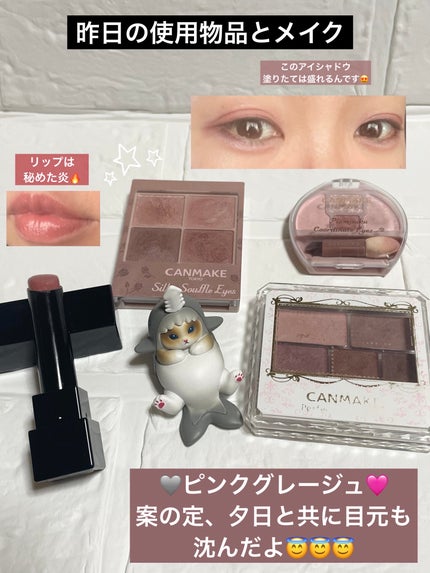 シルキースフレアイズ(マットタイプ)/キャンメイク/アイシャドウパレットを使ったクチコミ(1枚目)